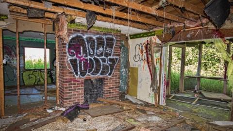 Bare Bones - IMG_4154sHIc.jpg