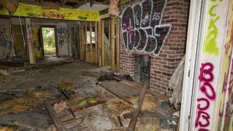 Bare Bones - IMG_4156sjx9.jpg