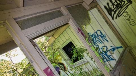 Bare Bones - IMG_4159sS6l.jpg