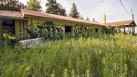 Bare Bones - IMG_4171s3Lp.jpg