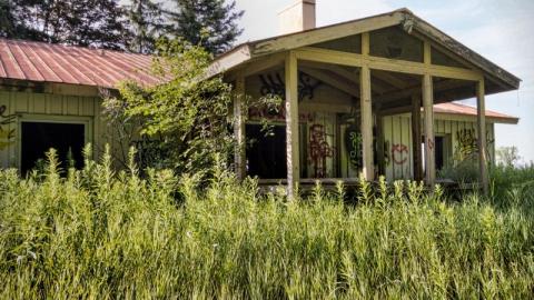 Bare Bones - IMG_4172sykI.jpg