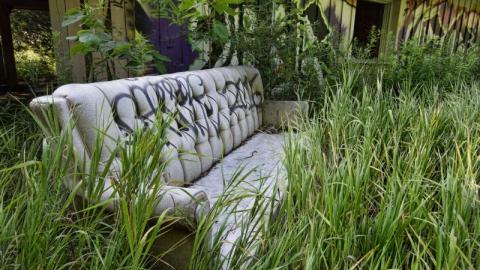 Bare Bones - IMG_4173skFi.jpg