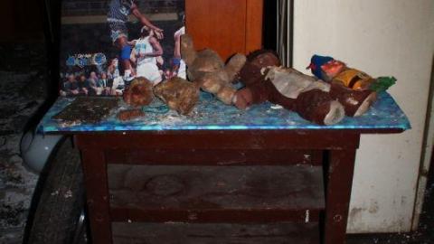 [Dr. Junk] Dr. FLOOD - IMG_2738c1B.jpg