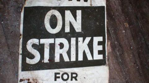 [Dr. Junk] Dr. FLOOD - IMG_27541Py.jpg