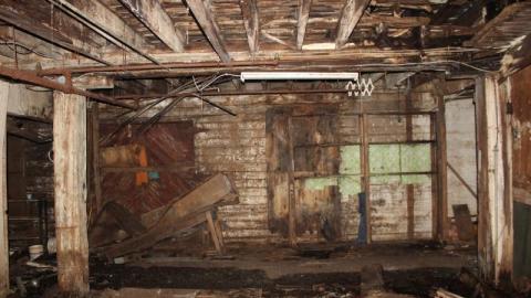 [Dr. Junk] Dr. FLOOD - IMG_2758nm3.jpg