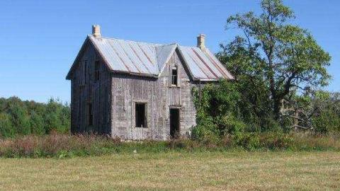 Gallery - IMG_1993.jpg