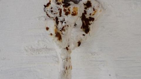 Oro African Church '19 - DSC07086mpn.jpg