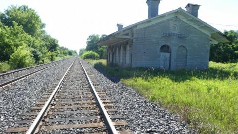 July 2020 - P10304952kE.jpg