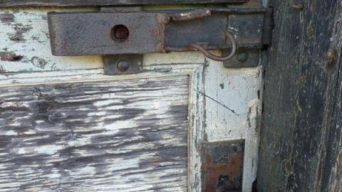 July 2020 - P10305034aM.jpg