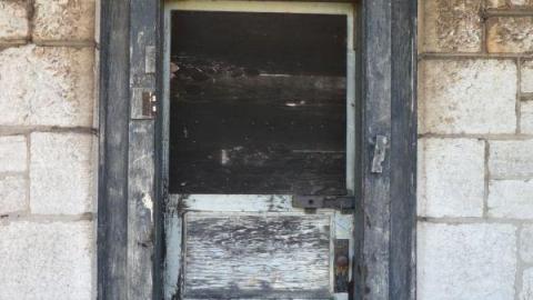 July 2020 - P1030504p7F.jpg