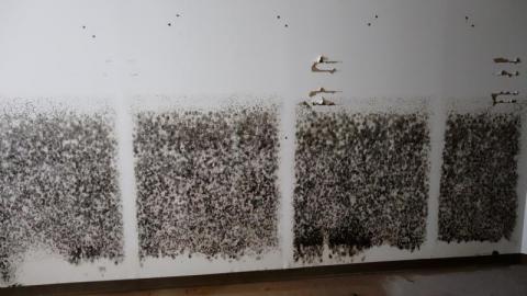 Peace Lighthouse '19 - DSC02150aNB.jpg