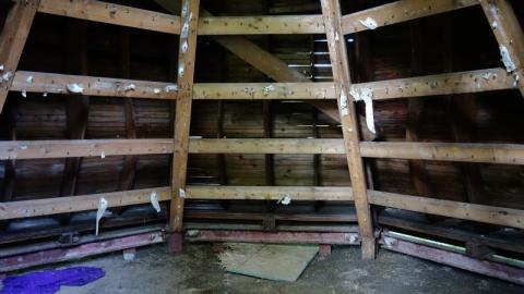 Photo from Peace Lighthouse '19