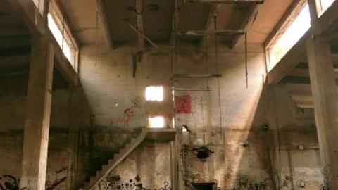 Blissful  - 0CA6F740-A4BB-4C72-AA31-E243663697382FK.jpg