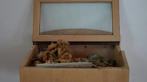 Protect Your Church '20 - DSC08711dS4.jpg