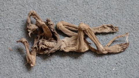 Protect Your Church '20 - DSC087269yu.jpg