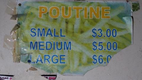 Bushwack '20 - DSC08817Y79.jpg