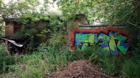 Bushwack '20 - DSC08829niy.jpg