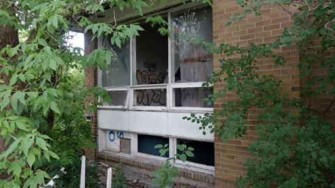 Bushwack '20 - DSC08835gLa.jpg