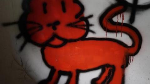 Bushwack '20 - DSC08840cle.jpg