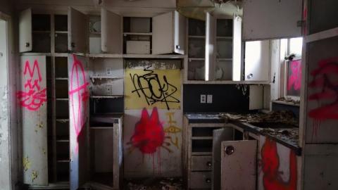 Bushwack '20 - DSC08842hGt.jpg