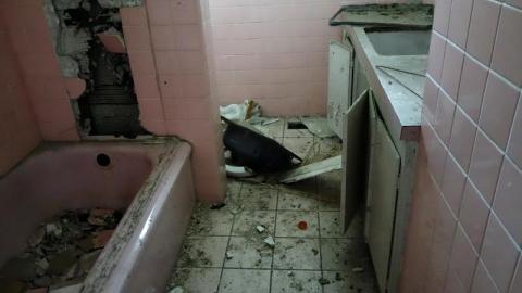 Bushwack '20 - DSC08843lVK.jpg