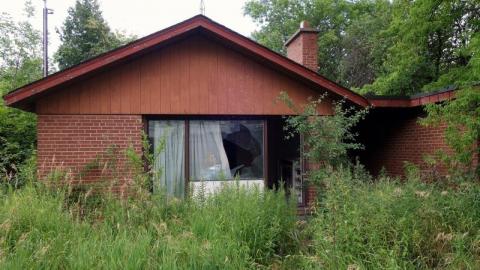 Bushwack '20 - DSC08856dG9.jpg