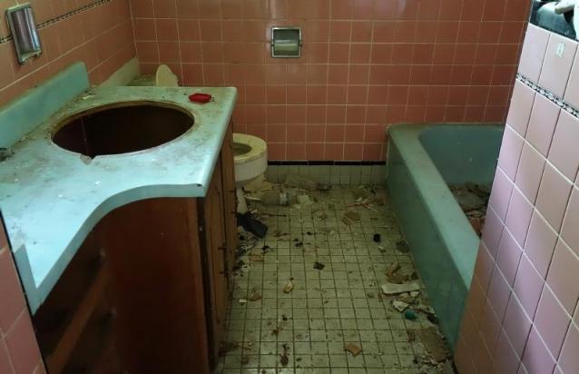 13 In A Row, A Baker's Dozen photo 4