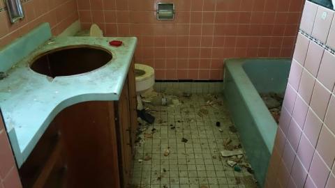 Bushwack '20 - DSC08867cfl.jpg