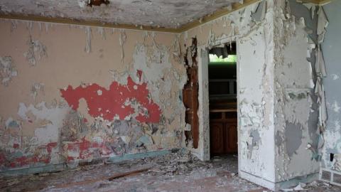 Bushwack '20 - DSC088729iY.jpg