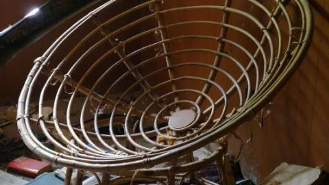 Bushwack '20 - DSC08893roJ.jpg