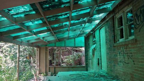 Bushwack '20 - DSC08905urW.jpg