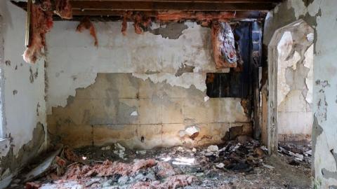 Bushwack '20 - DSC08927UOv.jpg