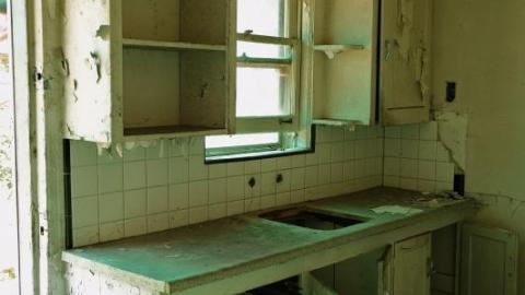 Bushwack '20 - DSC089406oM.jpg