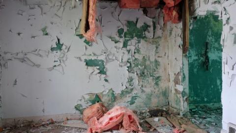 Bushwack '20 - DSC089444FS.jpg