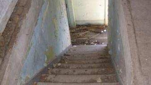 Gallery - IMG_1998.jpg