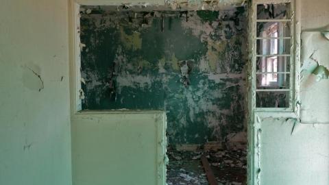 Bushwack '20 - DSC08948RBY.jpg