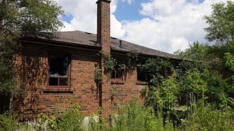 Bushwack '20 - DSC08955Yzs.jpg