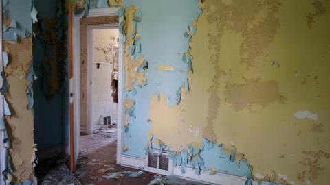 Bushwack '20 - DSC08962MBy.jpg