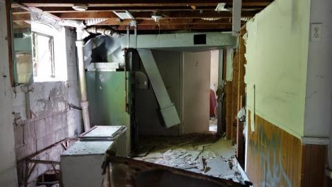 Bushwack '20 - DSC08964wJU.jpg