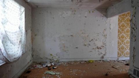 Bushwack '20 - DSC08973Trh.jpg