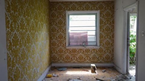 Bushwack '20 - DSC08978UiO.jpg