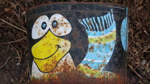 Bushwack '20 - DSC08982SeY.jpg