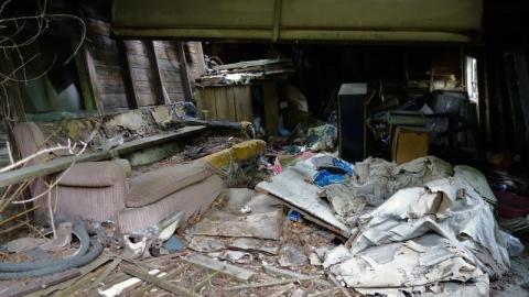 Bushwack '20 - DSC08985tdT.jpg