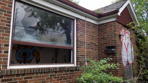 Bushwack '20 - DSC08999hMn.jpg