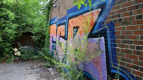 Bushwack '20 - DSC09001hT3.jpg