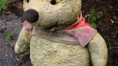 Bushwack '20 - DSC090057Py.jpg