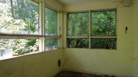 Bushwack '20 - DSC09011OLo.jpg