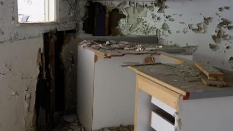 Bushwack '20 - DSC090184On.jpg