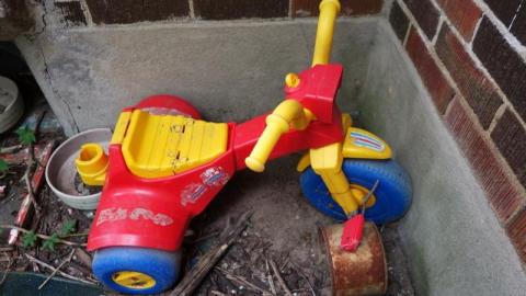 Bushwack '20 - DSC09021Xf5.jpg