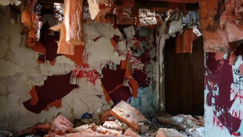 Bushwack '20 - DSC09031q19.jpg